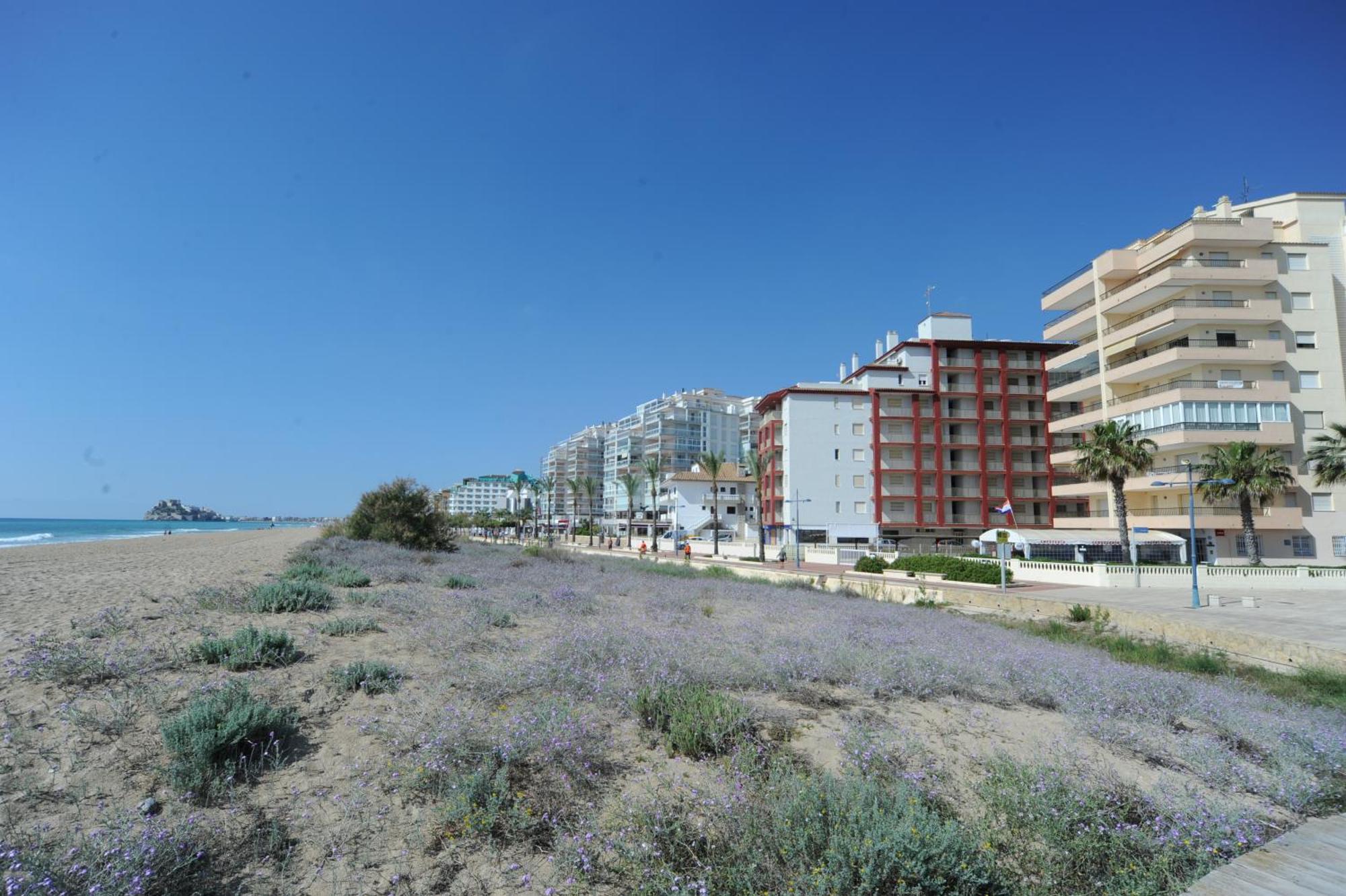Marina Vistamar Orangecosta Διαμέρισμα Peñíscola Εξωτερικό φωτογραφία